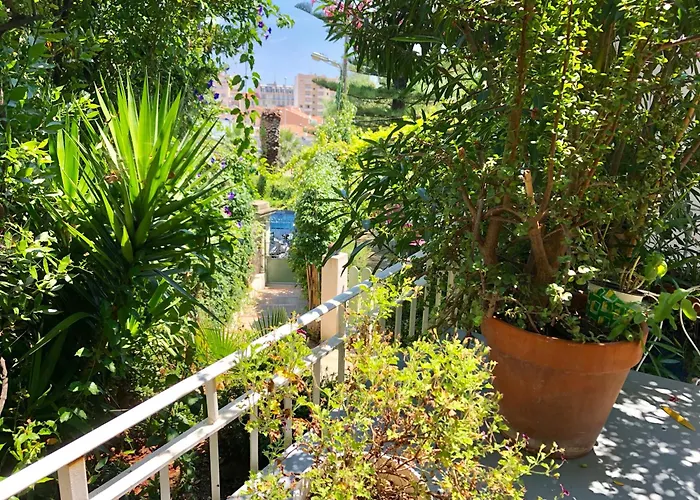 Appartement Dans Maison De Ville Avec Jardin